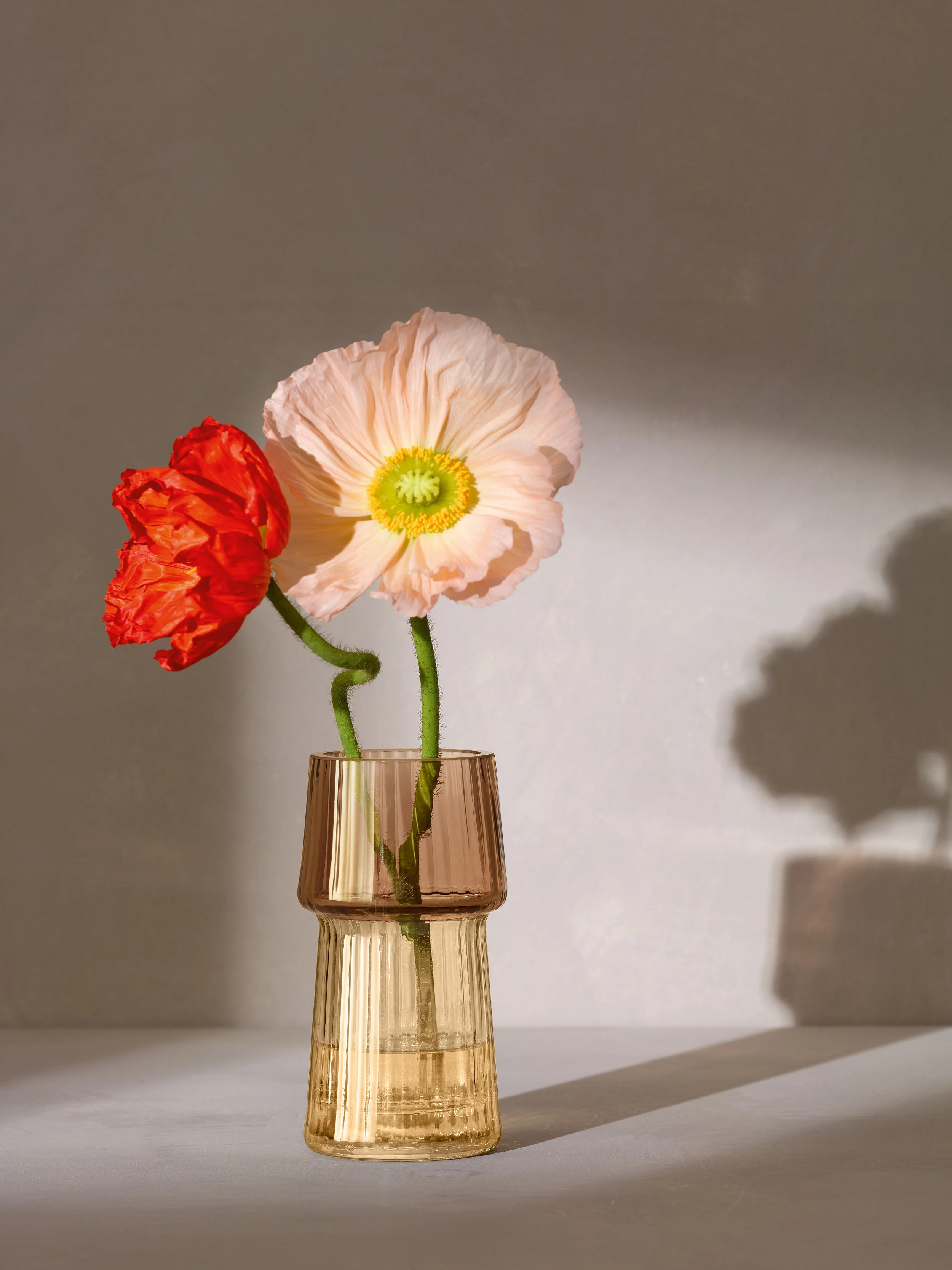 Vase - Image 5